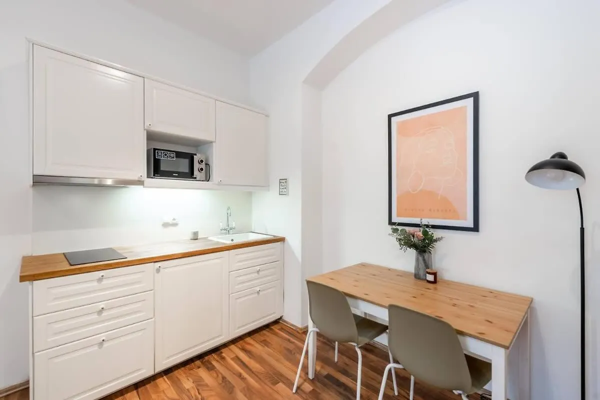 Adorable Cozy Studio In Central Prague Apartment